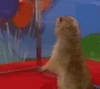 gopher.gif image by Clemente3472